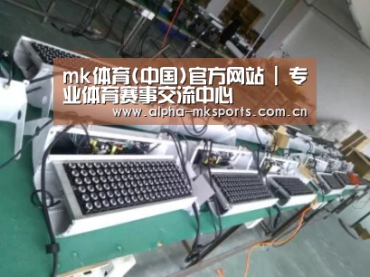 mk sports案例展示一