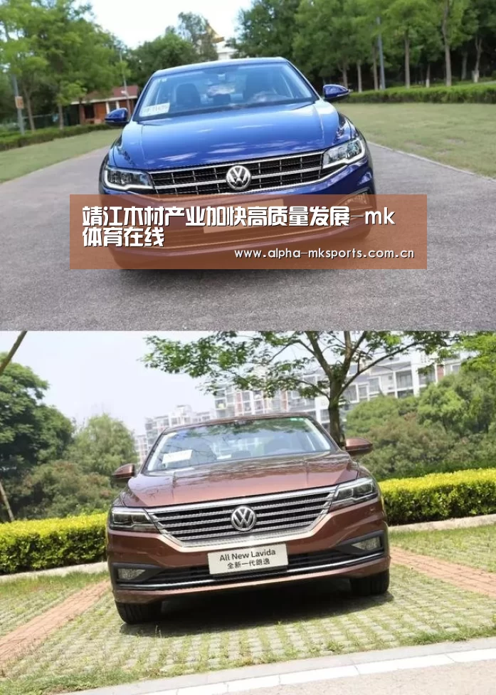 靖江木材产业加快高质量发展-mk体育在线(图2) mk体育app