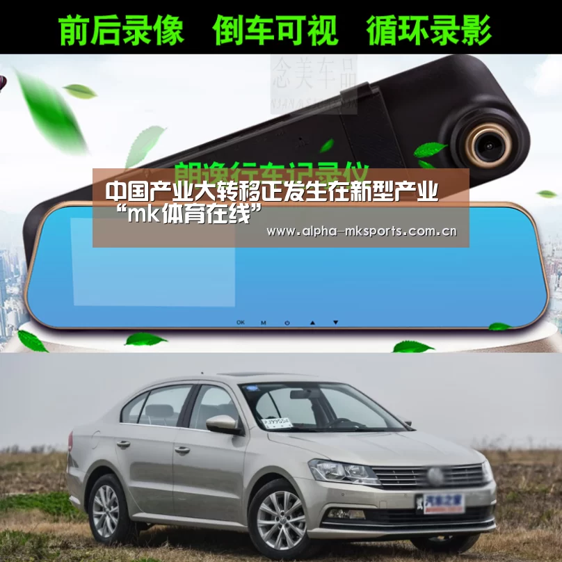 中国产业大转移正发生在新型产业“mk体育在线”(图3) mk体育app